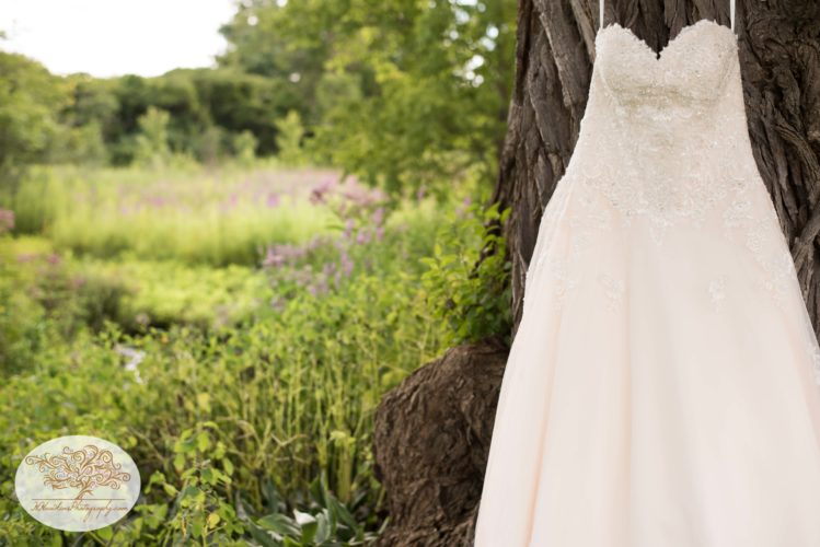 Wedding dress near field where upstate NY barn wedding