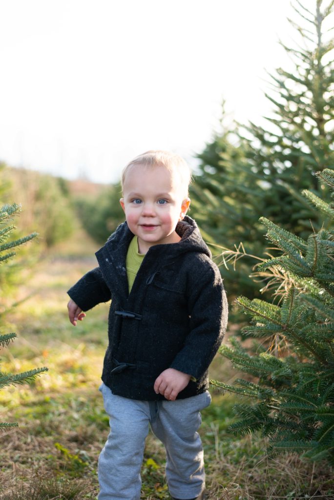 Toddler boy runs through Christmas Tree farm at Spring Side Farms 
