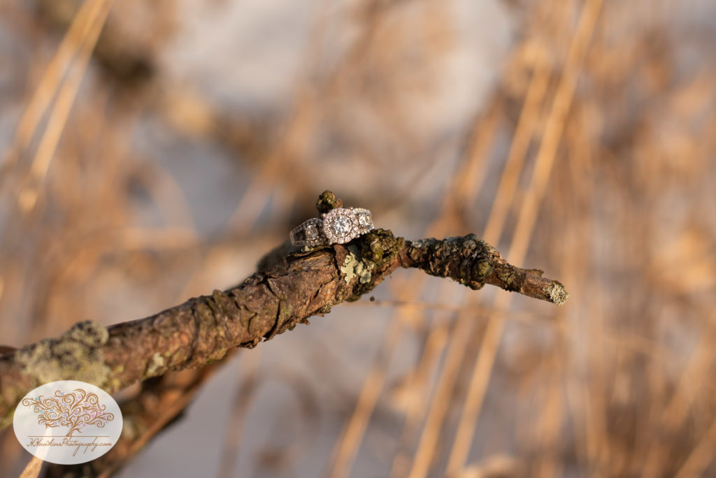 Diamond engagement ring on a branch during a snowy sunny syracuse ny engagement shoot