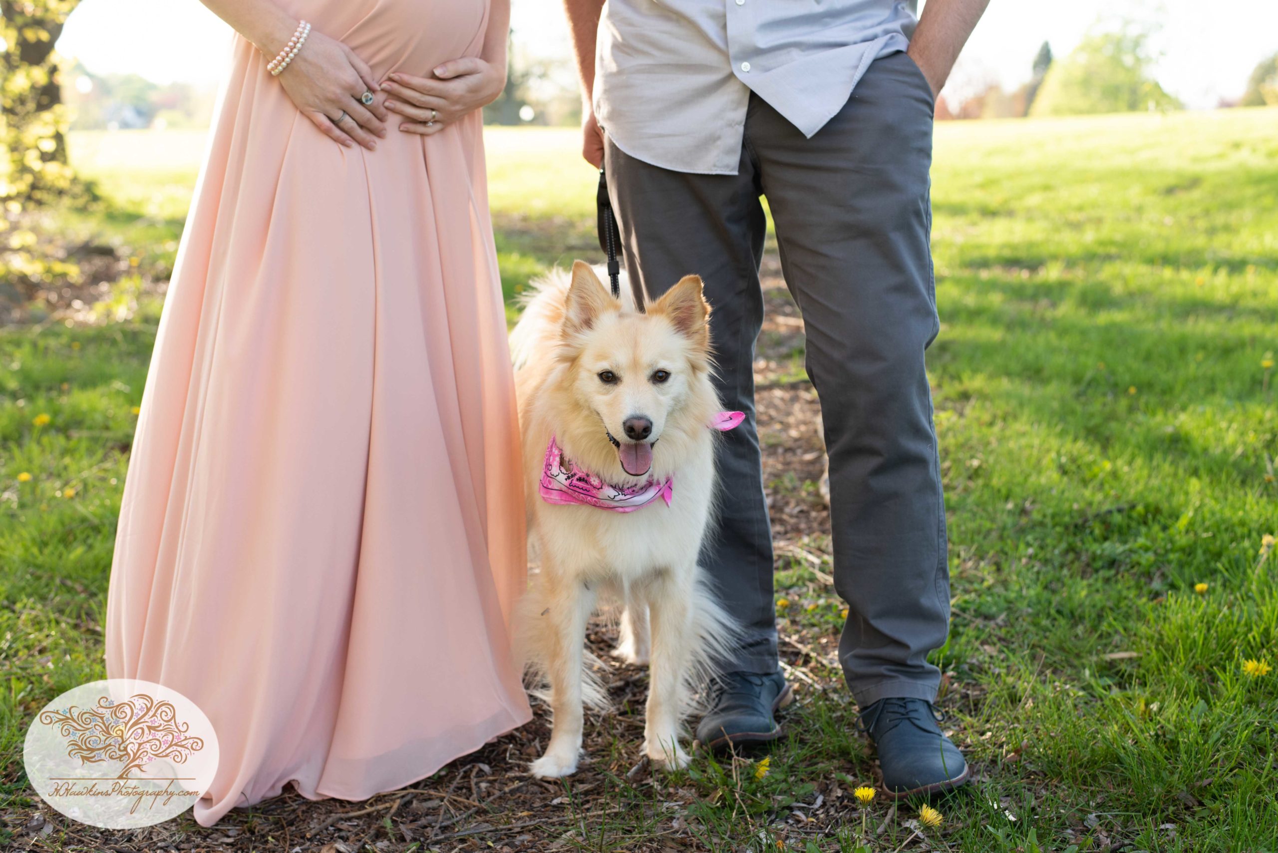 dog joins his owners during their syracuse maternity pictures