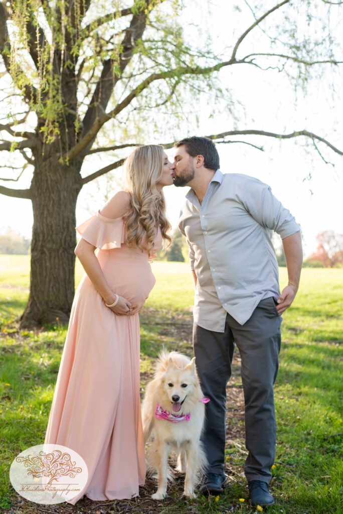 Syracuse maternity session with dog