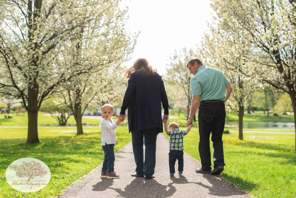 grandparents walk away from camera with grandsons with white blossoming trees on either side
