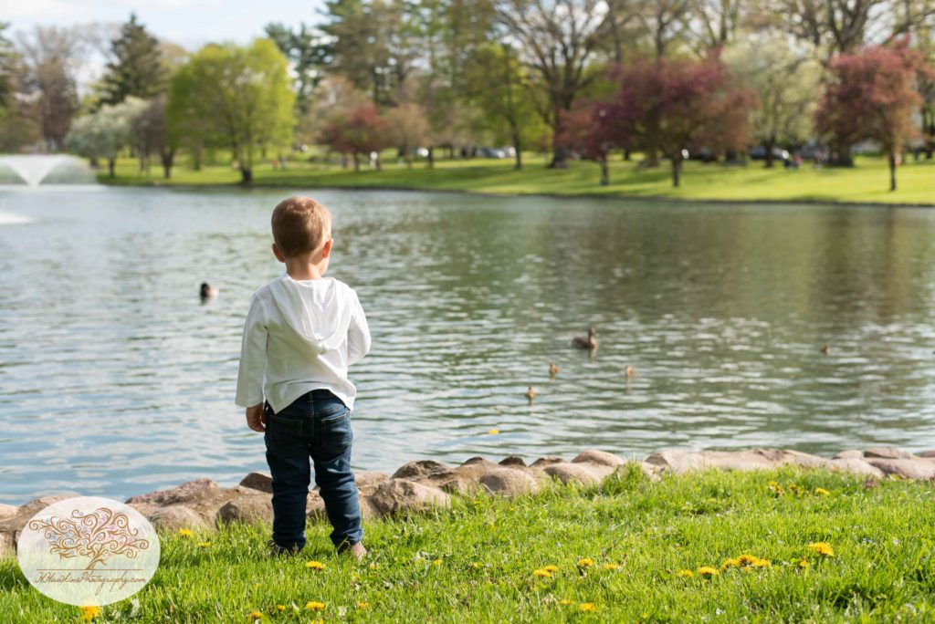 Little boy looks out over pond at Hoopes Park 