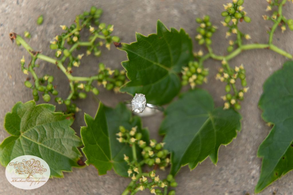 Diamond engagement ring surrounded by green leaves and green berries found along Syracuse's Creekwalk