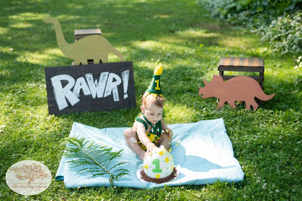 One year old dinosaur cake smash pictures by syracuse family photographer