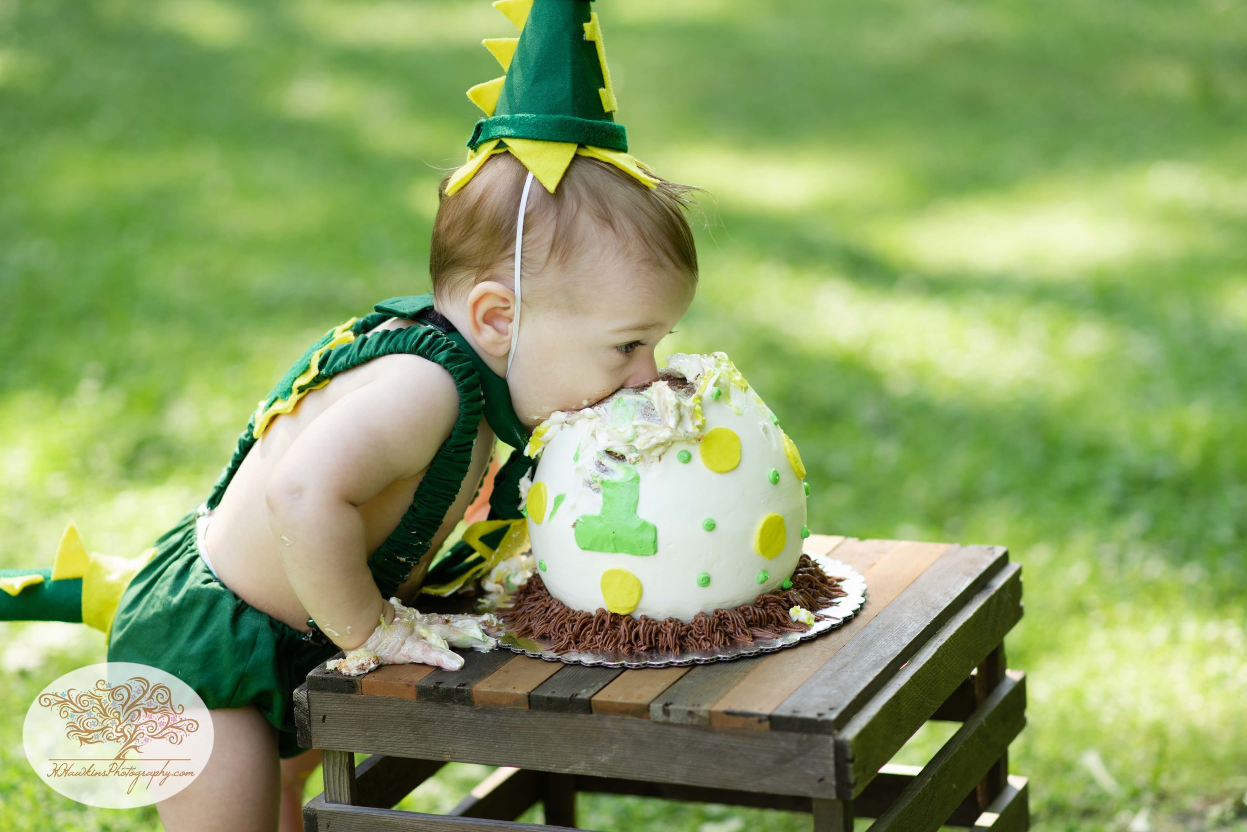 One year old boy smashes his face into birthday cake in his dinosaur outfit by Syracuse photographer at Delphi Falls