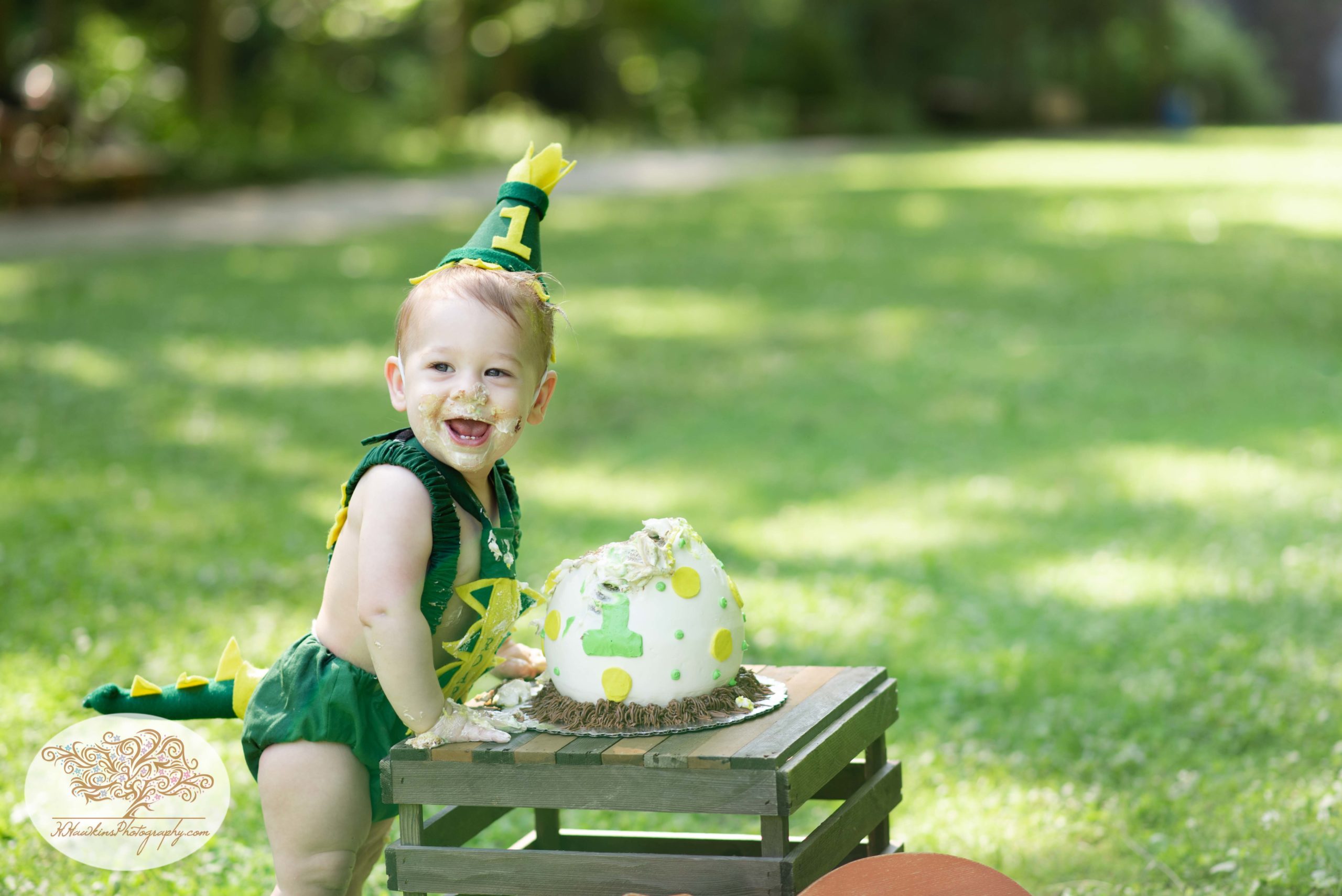 One year old cake smash pictures of baby in a dinosaur outfit