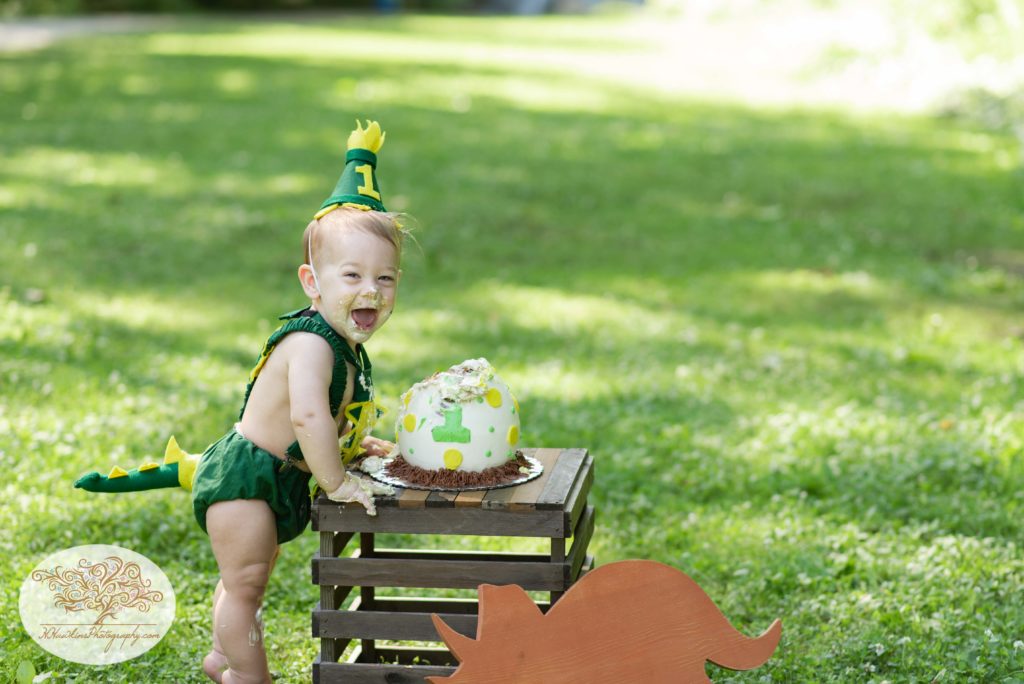 Dinosaur birthday cake smash of little boy standing in outfit
