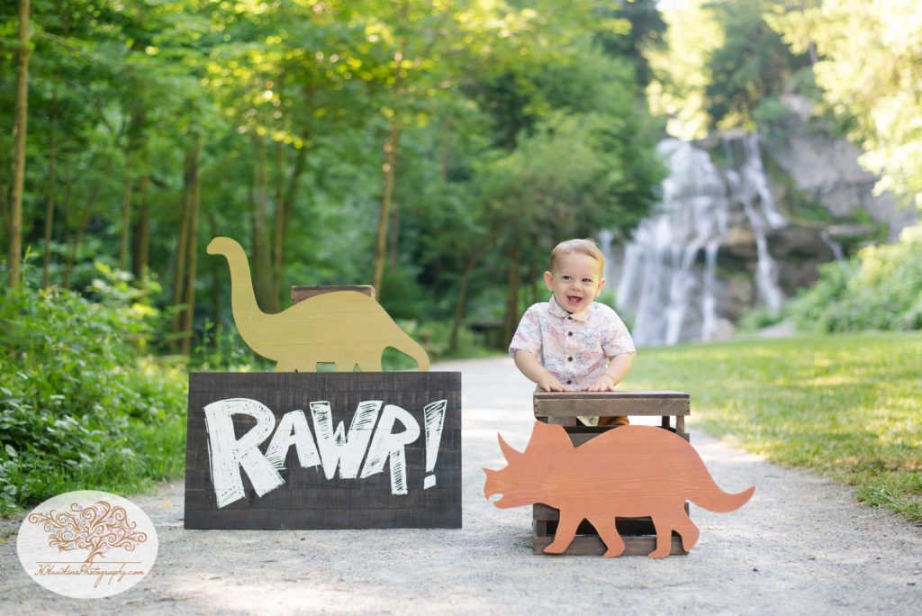 Rawr dinosaur one year old birthday pictures of little boy outside in front of waterfall