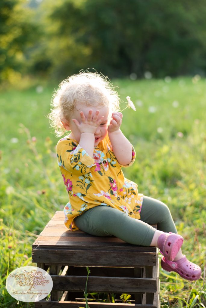 Little toddler girl plays peek a boo as she sits on a box in a field of flowers during summer family pictures session