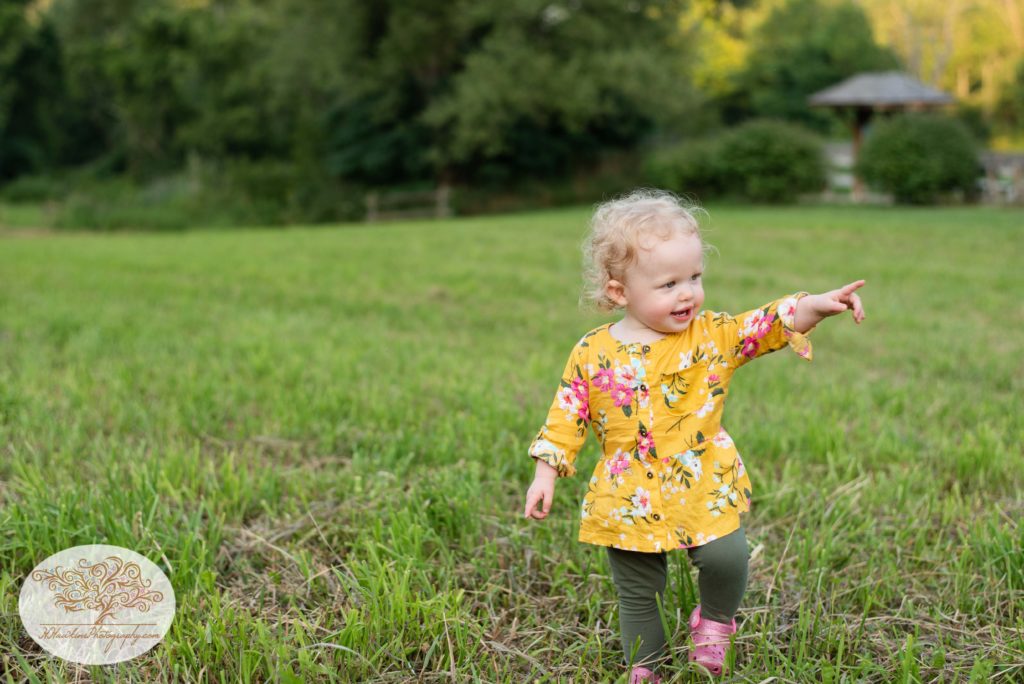 Little girl points at something as she walks through a summer field during her family pictures session