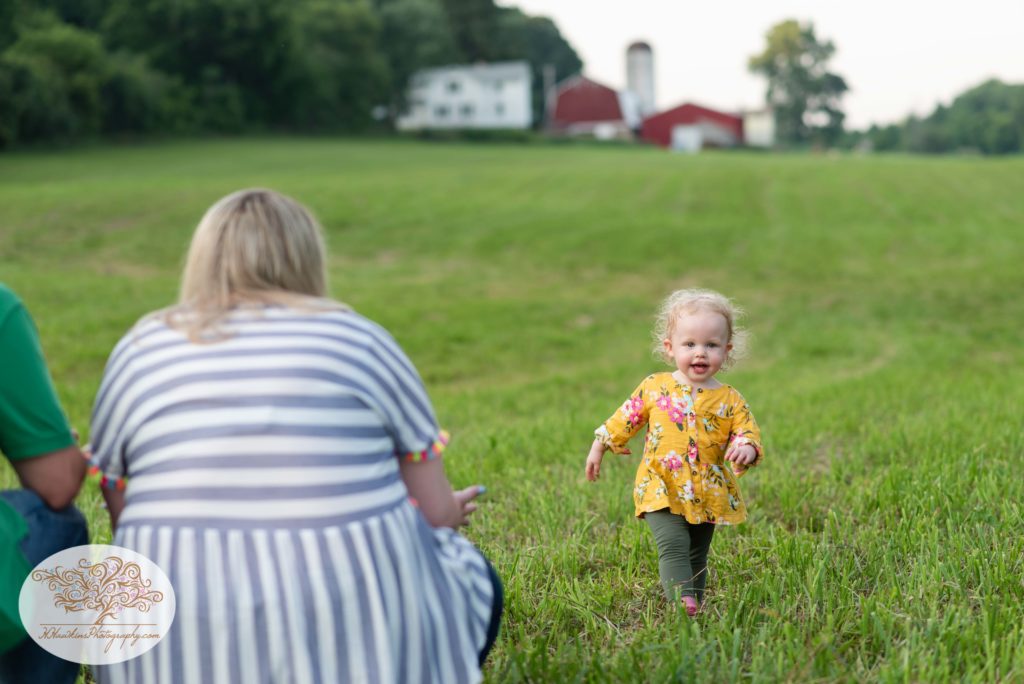 Little girl walks towards her mom and dad in a field in front of a red barn in Camillus NY during family pictures