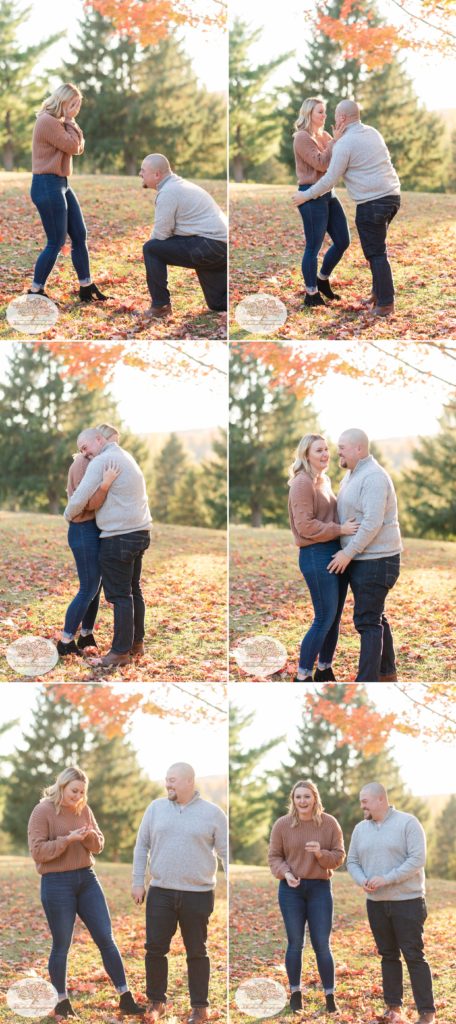 Boyfriend gets down on one knee for a surprise engagement proposal at Gillie Lake in the fall by Syracuse wedding photographer.