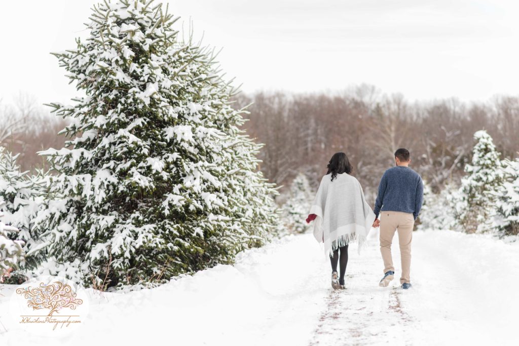 Engaged couple walks through the snow at a Christmas Tree Farm in Cazenovia for their engagement pictures