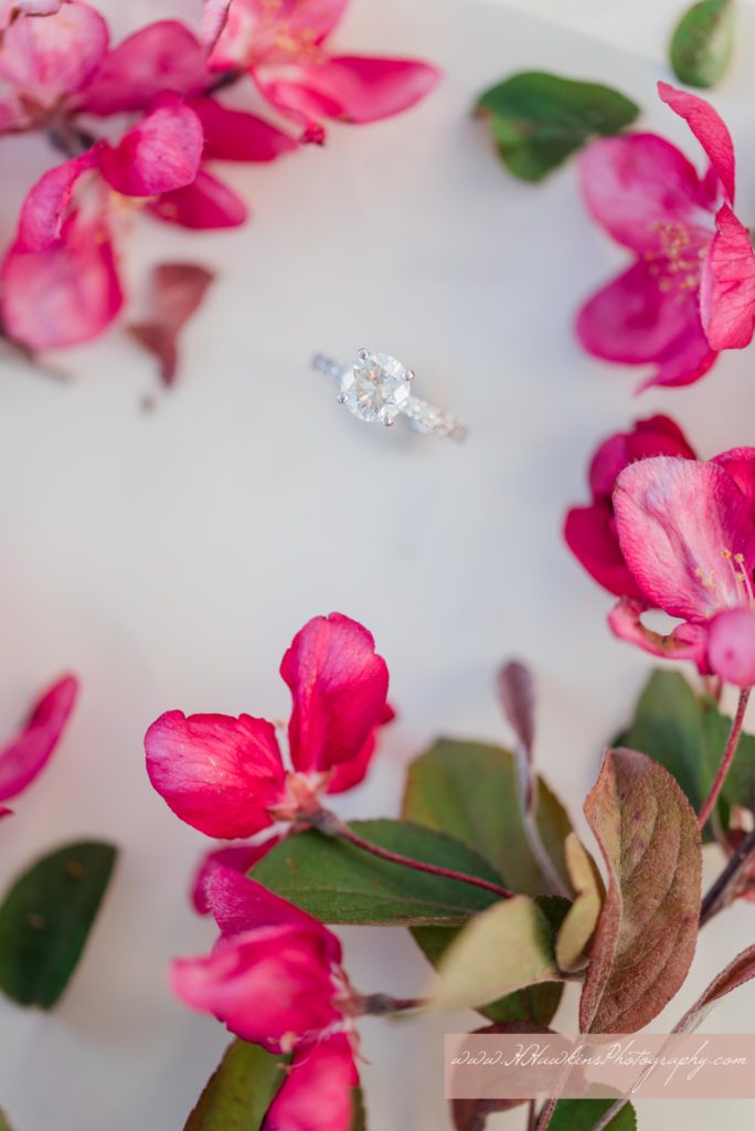 diamond engagement ring surrounded by pink flowers from blossoming trees at Hoopes Park in Auburn NY