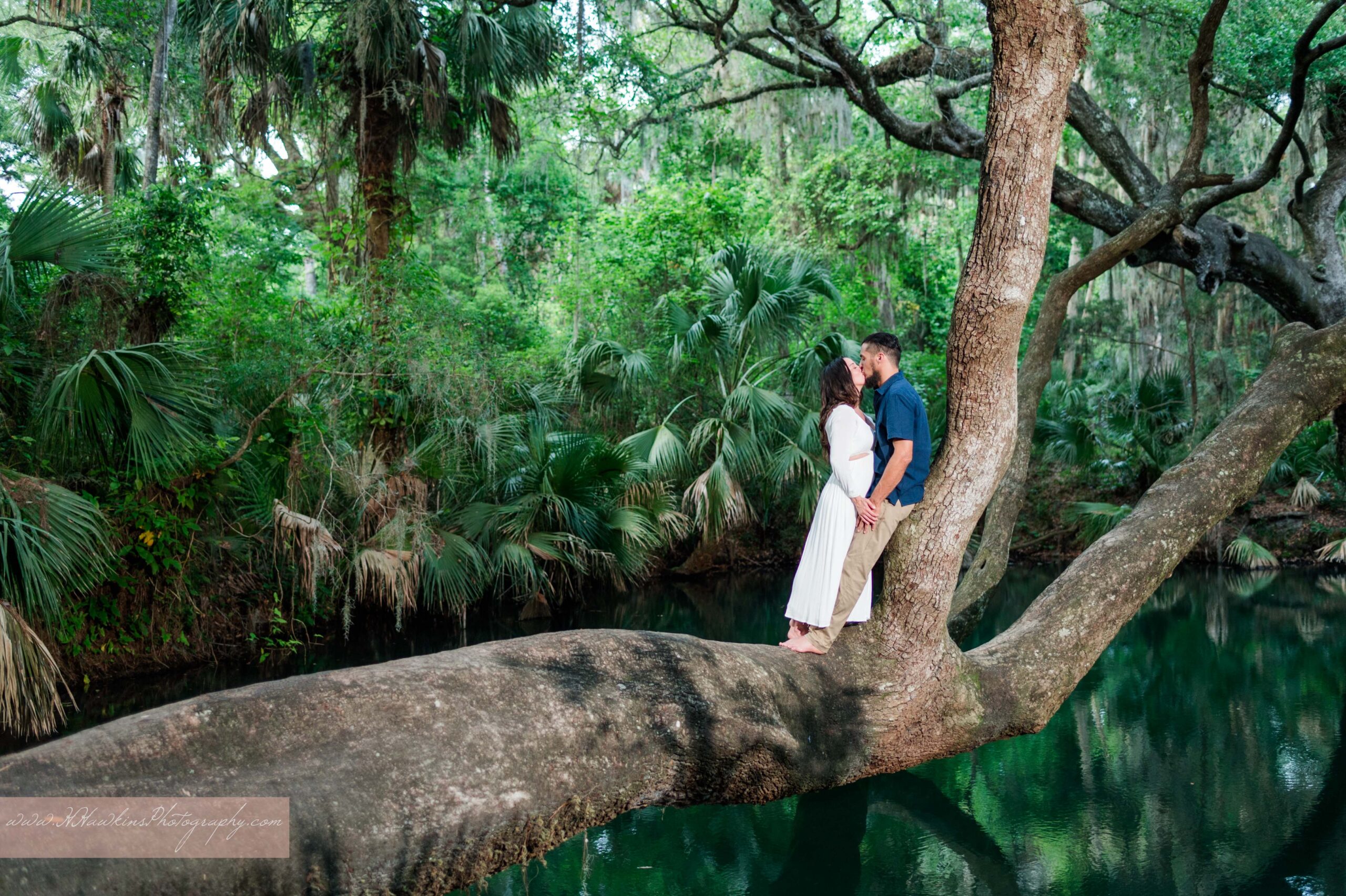 Groom and bride to be in white dress walk out on tree limb over Green Springs for their engagement photos by Orlando wedding photographer