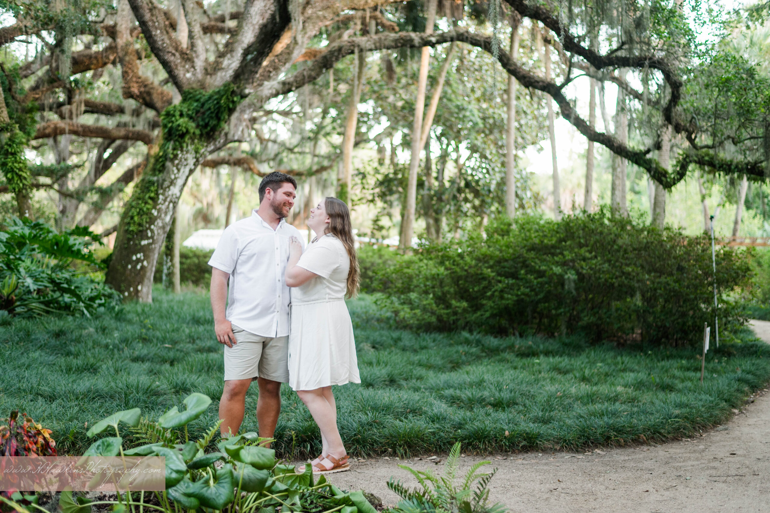 Engaged couple in white dress and shirt stand in front of mammoth mature oak trees at Washington Oaks Gardens State Park during their engagement photo session
